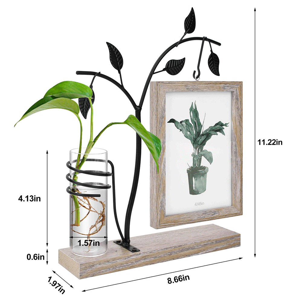 Wooden Picture Frame Plant Hydroponics Decor